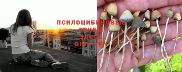 винт Алексин